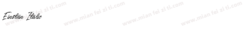Einstein Italic字体转换